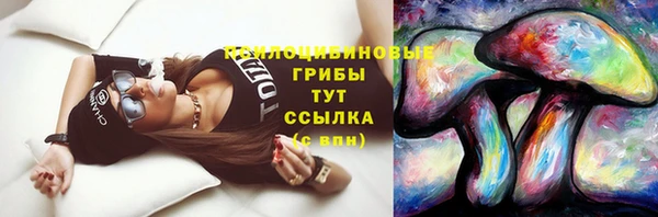 прущая мука Алзамай