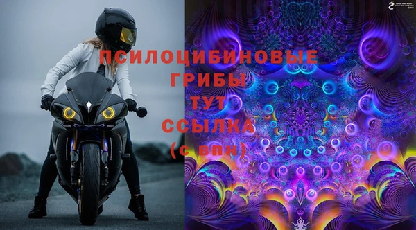 Альфа ПВП Алексеевка