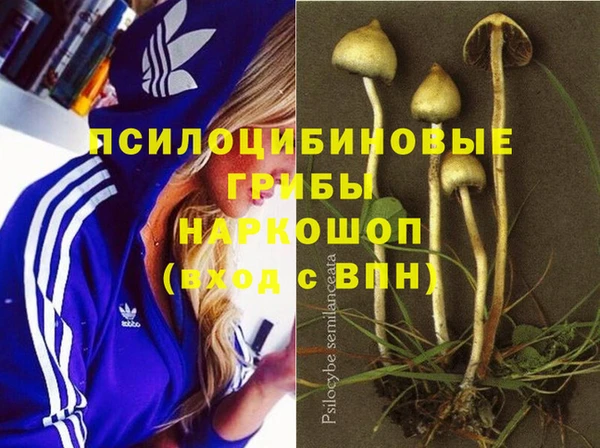 прущая мука Алзамай